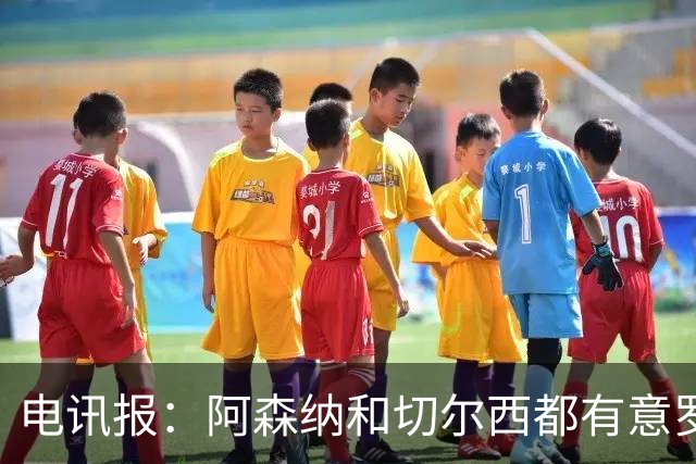 电讯报：阿森纳和切尔西都有意罗杰斯，维拉标价1.3亿英镑