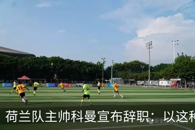 荷兰队主帅科曼宣布辞职：以这种方式结束 让我倍感痛心